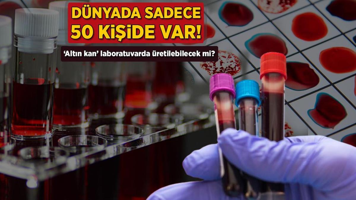 'Altın Kan' Rh-null: Dünyada Sadece 50 Kişiyi Etkileyen Nadir Kan Grubunun Laboratuvar Sırları