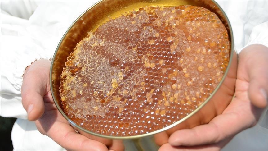 Doğu Karadeniz'in Bal İhracatı 1.9 Milyon Doları Aştı