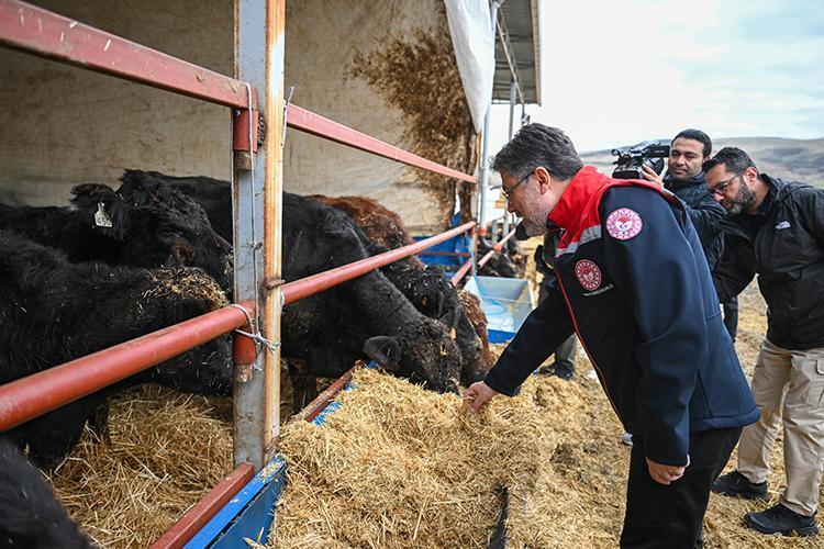 Kırmızı Et Üretiminde Yeni Dönem: Kırsalda Bereket Projesiyle Anaç Hayvan Sayısı Artıyor