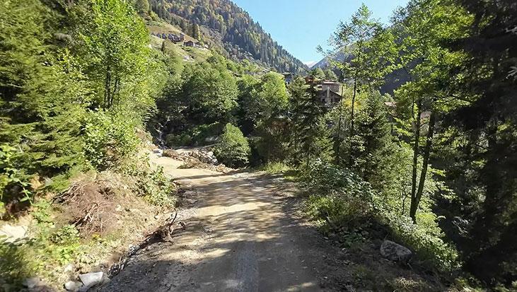 Rize'de Ormanlar İklim Değişikliği Tehdidi Altında: 174 Bin Hektarlık Yeşil Alan Riskli