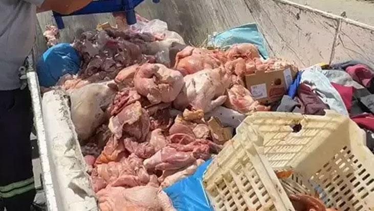 Mahalle Sakinlerini Tedirgin Eden Koku Kaynağı Belli Oldu: 25 Kasa Bozuk Tavuk Ele Geçirildi