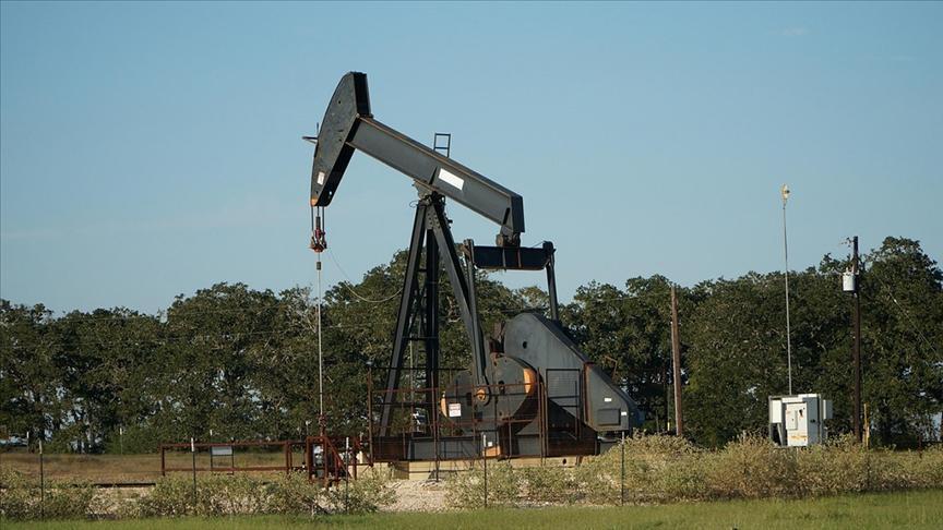 OPEC'te Üretim Hafif Düşüşte, Talep Tahminleri Sabit