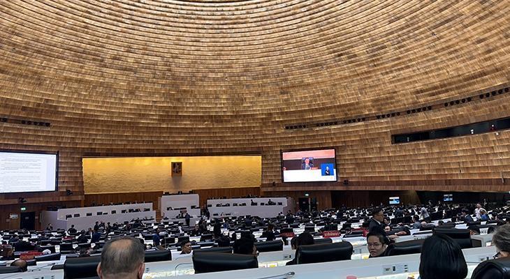 Tayland'da Siyasi Belirsizlik: Meclis Feshedildi, Erken Seçim Yolda