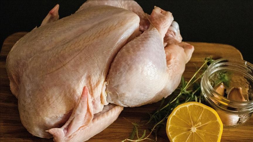 Tavuk Eti Üretiminde Ekim Ayı Verileri Açıklandı
