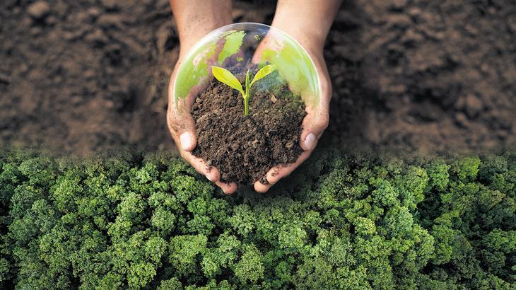 Türkiye'nin İklim Elçileri: COP31'de Aktif Rol Talep Ediyorlar