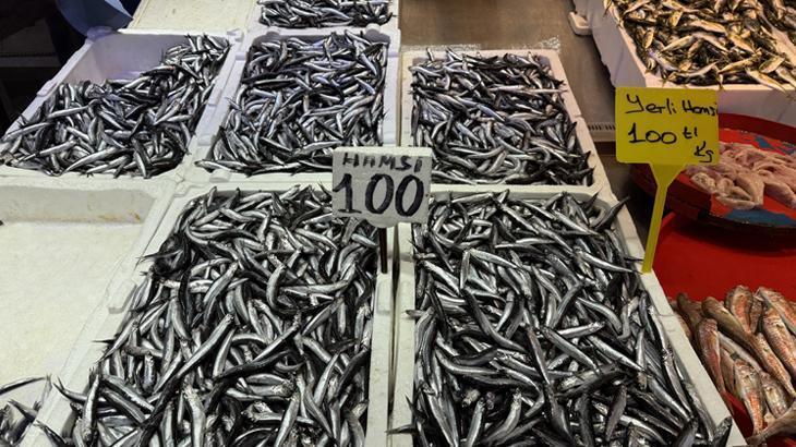 Trabzon'da Balık Fiyatları Cep Yakıyor: Hamsi ve İstavrit 100 Lira
