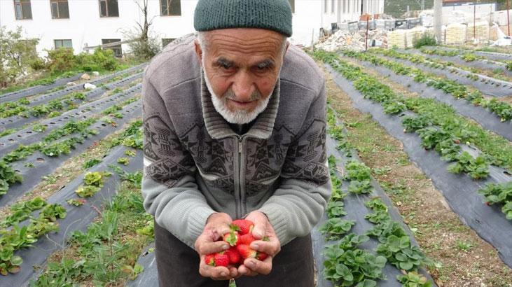 Hayırsever 'İbrahim Dede'den Acı Haber: Bahçesinde Hayatını Kaybetti