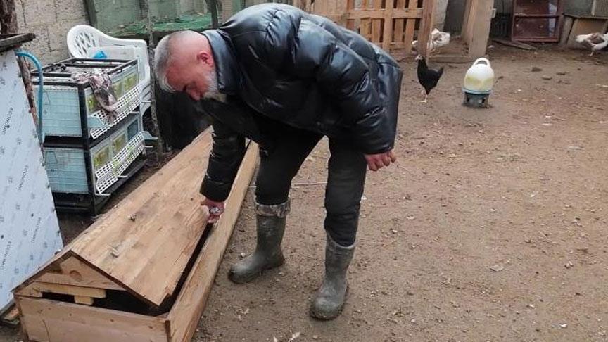 Geri Dönüşümün Sıra Dışı Yolu: Tabuttan Civcivler İçin Ana Kucağı
