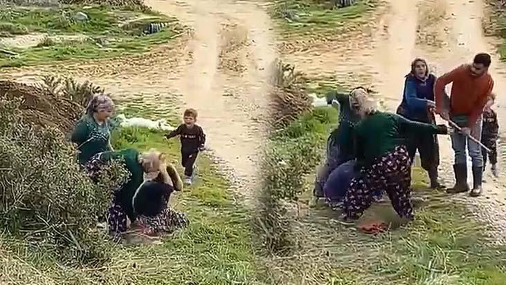 Manisa'da Arazi Anlaşmazlığı Kanlı Bitti: Anne, Oğlunun Gözü Önünde Darp Edildi