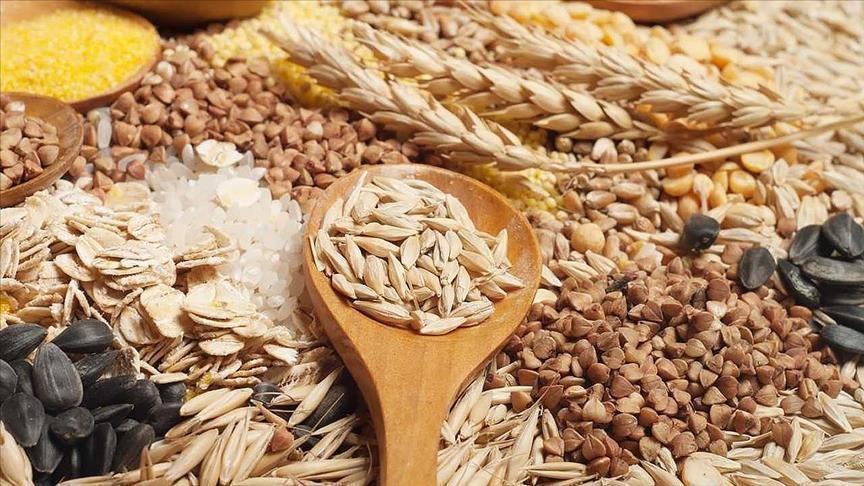Güneydoğu'dan Rekor Hububat İhracatı: 3.2 Milyar Dolarlık Başarı