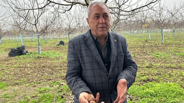İnegöl'de Ceviz Yetiştiriciliği Yatırım Fırsatı Yaratıyor