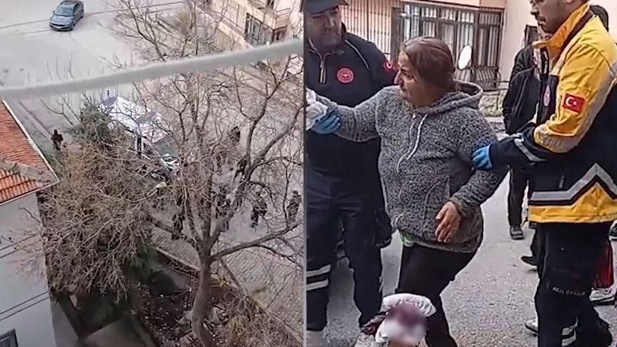 Market Yolunda Dehşet: Kaçan Köpekler Bir Vatandaşa Saldırdı