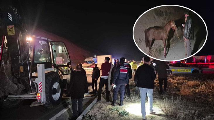 Malatya'da Safkan Arap Atları Karayolunda Feci Kazalar Yaşadı: 8 Tay Hayatını Kaybetti