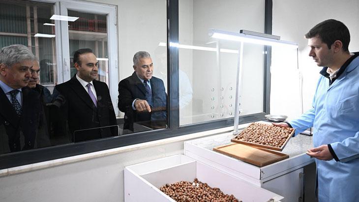 Sakarya'da Fındık Kabuğundan 5 Milyar Dolarlık Fırsat: Aktif Karbon Üretimi Başlıyor
