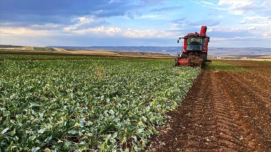 Çiftçi Kayıt Sistemi'nde Son Başvuru Günü Yaklaşıyor: Destekler İçin Süre Daralıyor