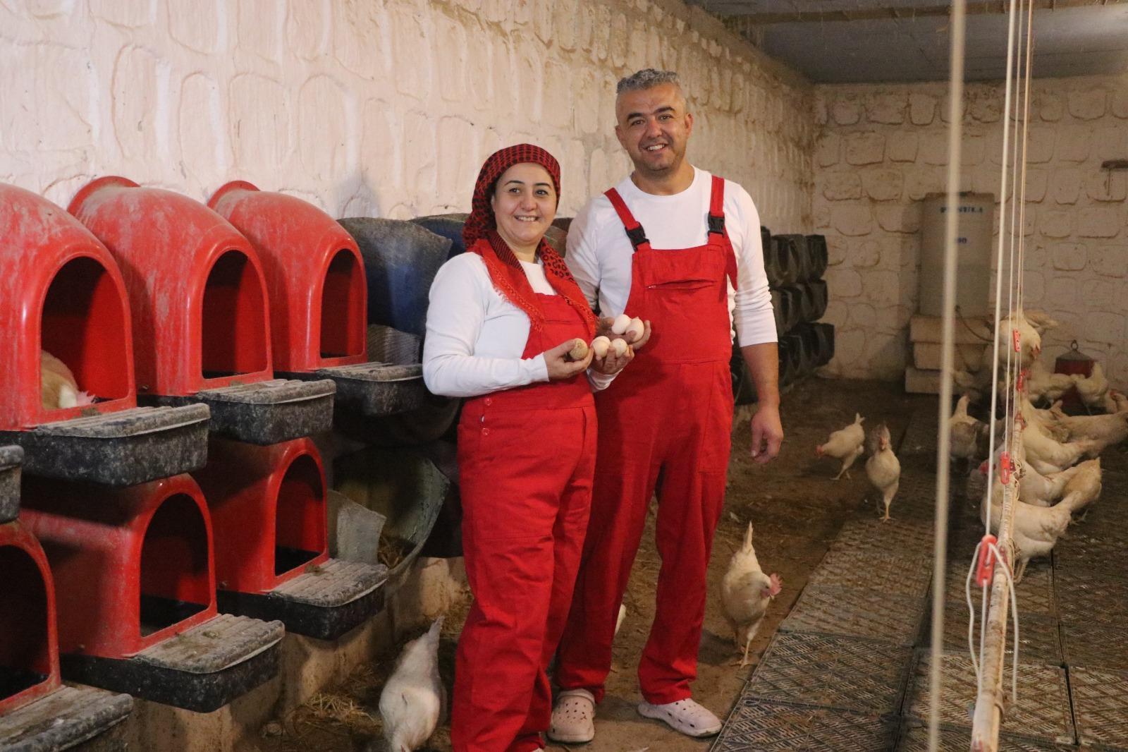 Kent Hayatından Kaçıp Doğayla Bütünleşen Çiftin Yeni Macerası