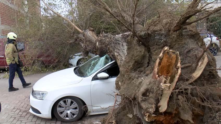 İstanbul'da Şiddetli Rüzgar 4 Aracı Dev Etti: Saniyelerle Kurtulma Anı