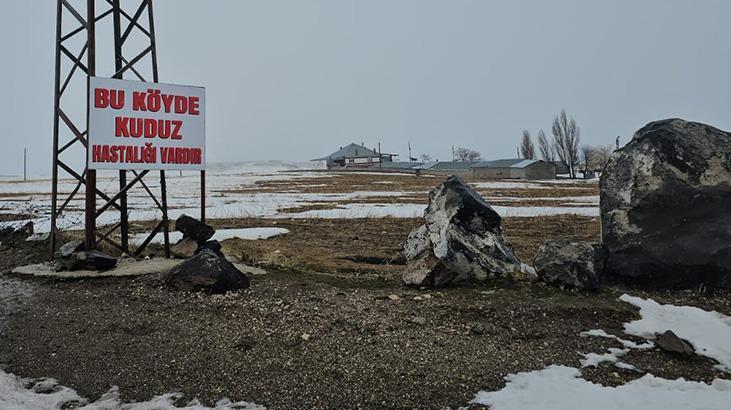 Adilcevaz'da Kuduz Paniği: Kömürlü Köyü Karantinaya Alındı