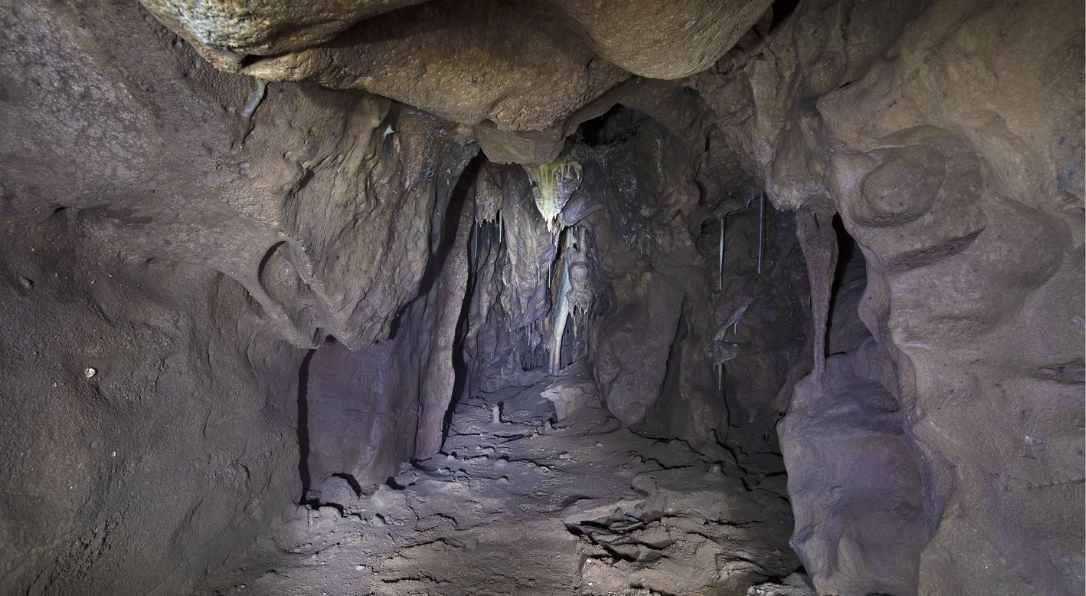 40 Bin Yıllık Gizem Ortaya Çıktı: Neandertaller Hakkında Bilinenleri Değiştiren Keşif