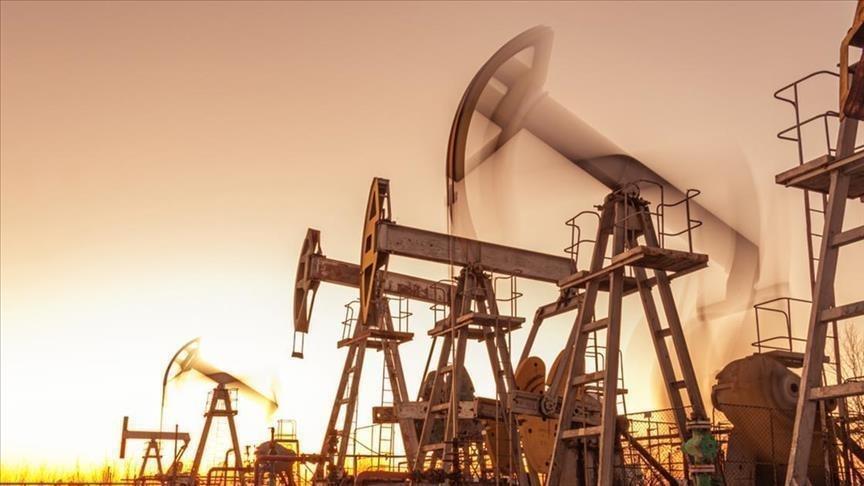 OPEC Üretiminde Artış Gözlendi: Irak Öne Çıktı, Venezuela Düşüşte