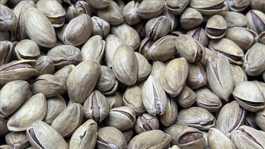 Türkiye'den Antep Fıstığı İhracatında Önemli Rakamlar