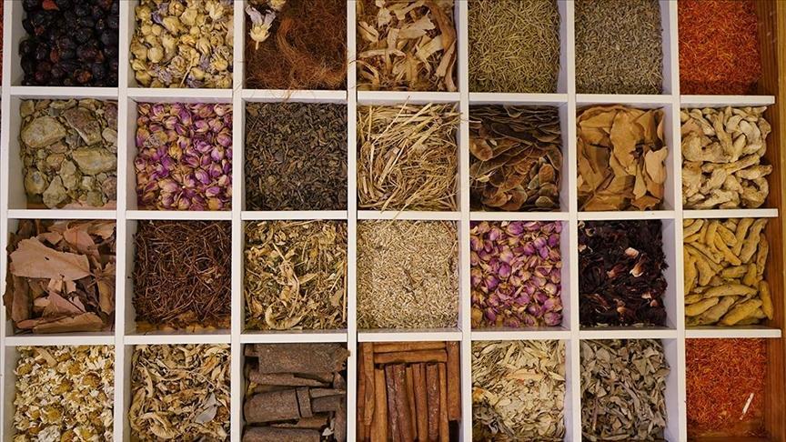 Güneydoğu Anadolu'dan Rekor İhracat: Hububat ve Bakliyat Sektörü Büyüyor