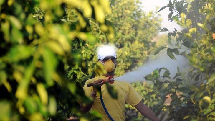 Tarımda Pestisit Kontrolü İçin Yeni Dönem: B-Reçete Uygulaması Başlıyor