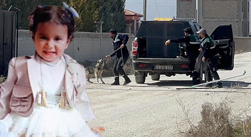 Sokak Köpeklerinin Saldırısı Sonucu Hayatını Kaybeden Çocuğun Davasında Kritik Gelişme: Belediye Yetkilileri Hakkında Soruşturma İzni Çıktı
