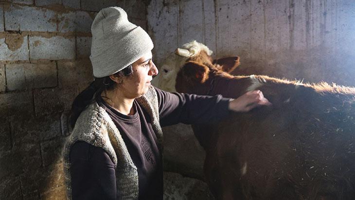 Devlet Desteğiyle Girişimciliğe Adım Attı: Hayvancılıkta Büyüme Hikayesi