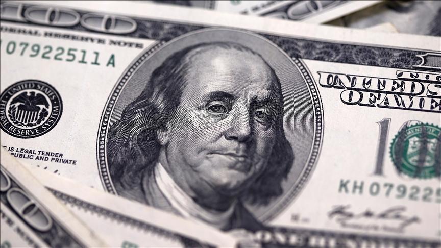 Finansal Olmayan Şirketlerin Döviz Açığı Kasım'da Arttı