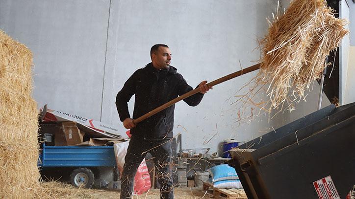 Devlet Desteğiyle Modern Hayvancılığa Geçiş: Erzincan'da Genç Girişimci Başarısı