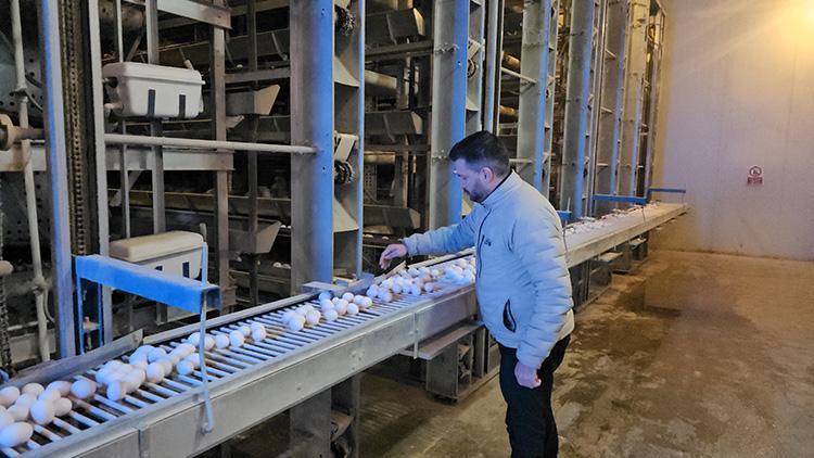 Devlet Destekli Modern Tesis, Bölgenin Yumurta İhtiyacını Karşılayacak