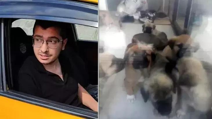 İstinaf Mahkemesi, Hayvanlara İstismar ve Ölüm Davasında Yeniden Yargılama Kararı Verdi