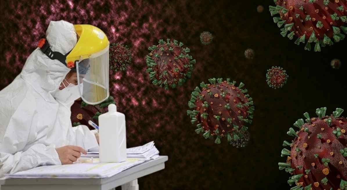 Hindistan'da Nipah Virüsü Paniği: Pandemi Endişeleri Yeniden Alevlendi