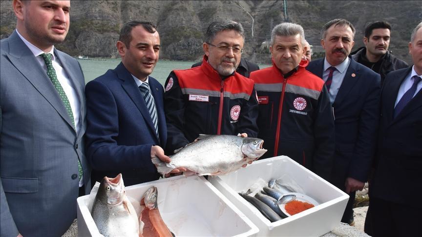 Su Ürünleri İhracatında Rekor: Türkiye 2.3 Milyar Dolara Ulaştı