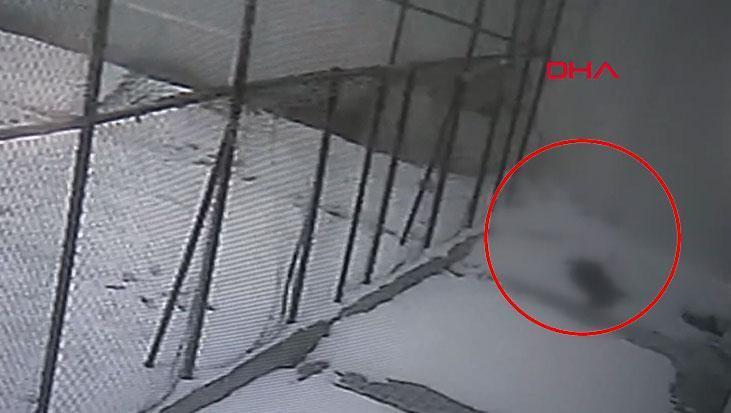 Pencere Silen Öğretmen Hayatını Kaybetti