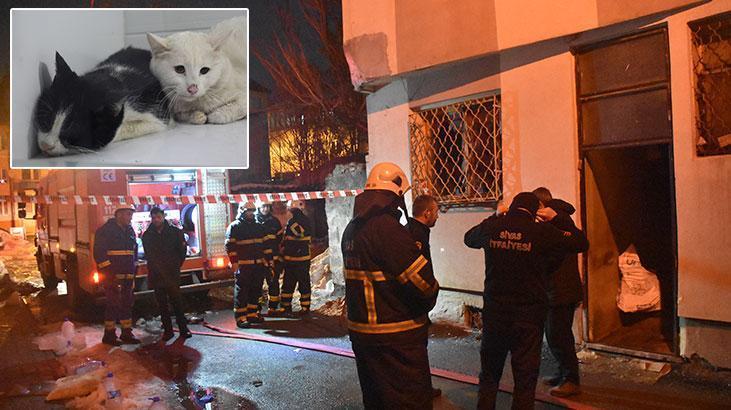 Sivas'ta Sevgi Yuvasında Trajik Yangın: 26 Kedi Hayatını Kaybetti