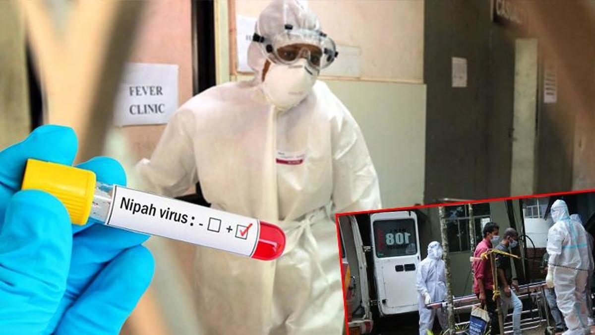 Nipah Virüsü Endişesi: Hindistan'da Yeni Vakalar ve Pandemi Riski Masada