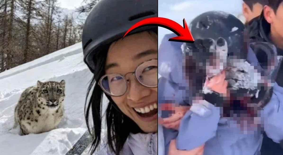 Kayak Turistinin Leoparla Selfie Çabası Kanla Bitti