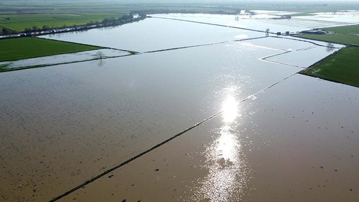 Aydın'da Menderes Nehri Taşkını: 2 Bin Dönüm Tarım Arazisi Sular Altında