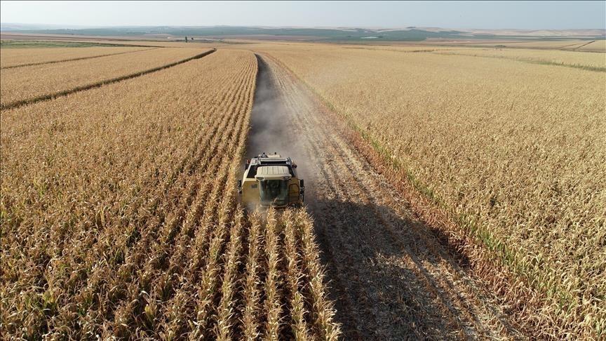 TKDK, Girişimcilere 114 Milyon Liralık Destek Sağladı