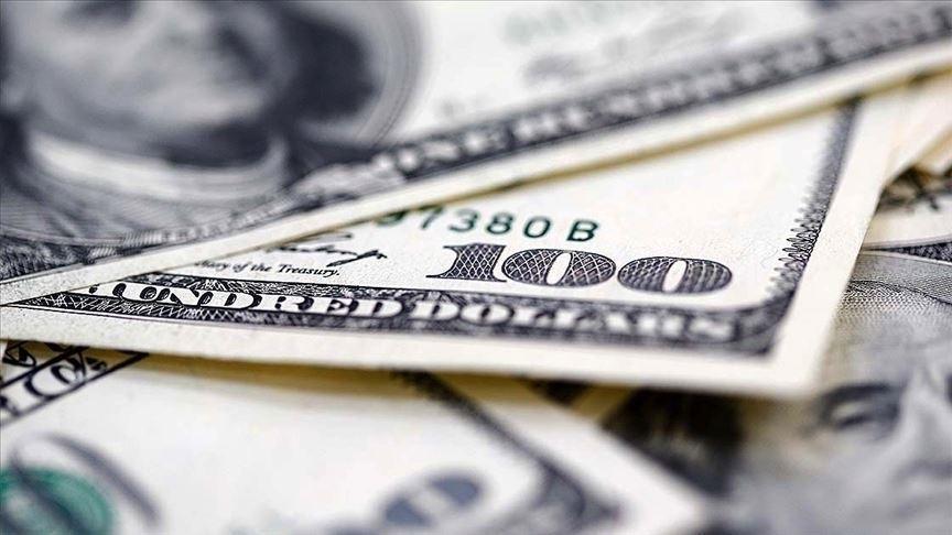 Reel Efektif Döviz Kuru Endeksi Yükseldi: TCMB Güncel Verileri Açıklıyor