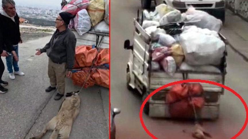 Ankara'da Hayvanlara Yönelik Şiddet: Köpek Metrelerce Sürüklenmekten Son Anda Kurtarıldı