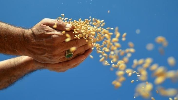 Hububat, Bakliyat ve Yağlı Tohumlar İhracatı 1 Milyar Dolara Yaklaştı
