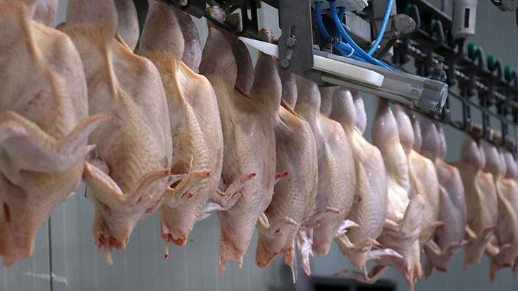 Ticaret Bakanlığı'ndan Kanatlı Eti İhracatına Sınırlama: İç Piyasa Dengelemesi Amaçlanıyor