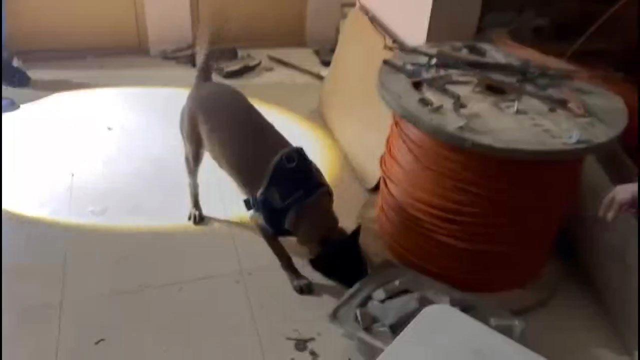 Avcılar'da Nefes Kesen Uyuşturucu Operasyonu: 50 Kilo Metamfetamin Ele Geçirildi