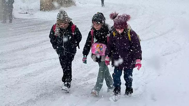 Van'da Olumsuz Hava Koşulları Eğitime Engel Oldu: Belirli İlçelerde Okullar Tatil Edildi