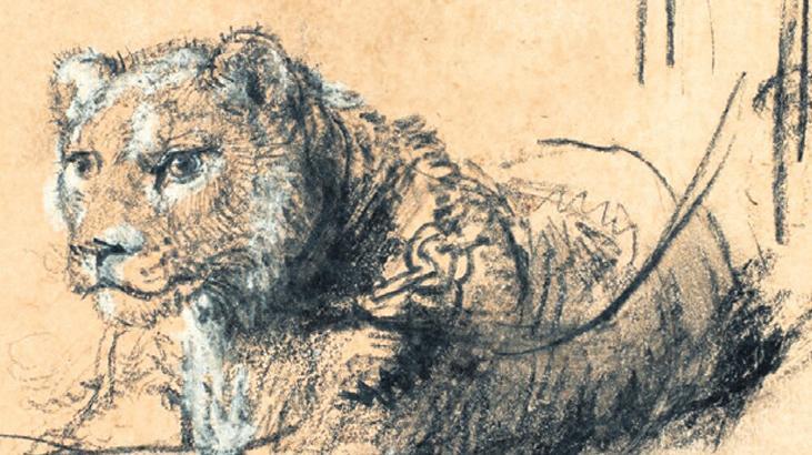 Rembrandt'ın "Genç Aslan" Çizimi Müzayedede Rekor Kırdı