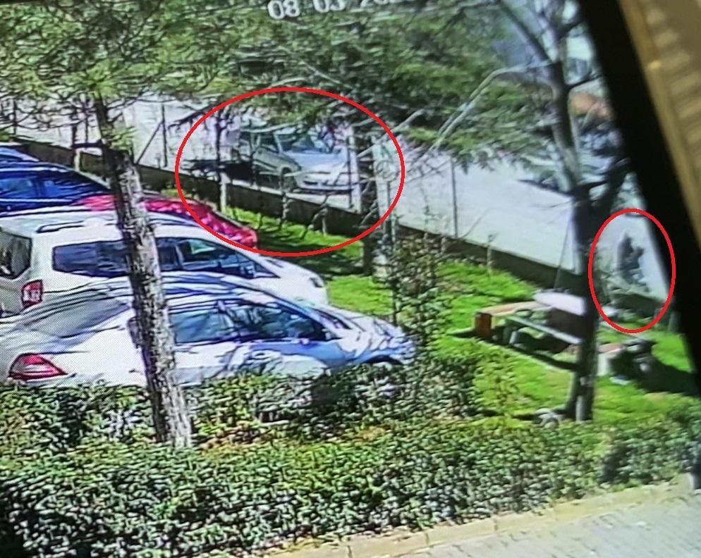 Yokuş Aşağı Kontrolsüz Araç, 11 Yaşındaki Çocuğun Ölümüne Neden Oldu