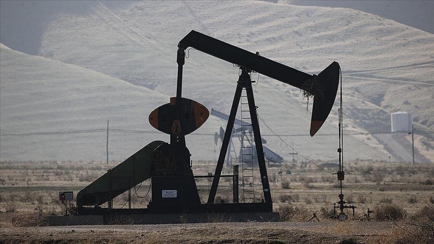 OPEC Üretimini Artırdı, Küresel Talep Tahminleri Sabit Kaldı